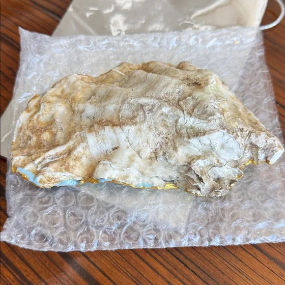 Painted Oyster Shell - Picture 4 of 4